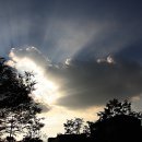 장안근린공원 이미지