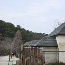 패밀리공원 | 광주 패밀리랜드 우치공원 동물원 벚꽃개화상황 동물종류 후기