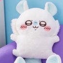 치이카와 모몽가 온라인 쿠지 제일복권 후기