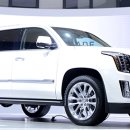 이레오토밋션 이미지