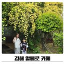 김해대동중학교 | 김해 목향장미카페 알베로 식물원카페 후기