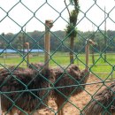 기중농장 이미지