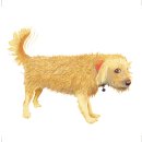 그림이있는작은도서관 이미지