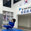 부산유도관 | 부산 유도관 추천 이화준 유도관 남구 대연동 초등부 성인부 추천 운동