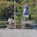 대룡산오토캠핑장