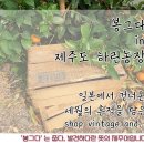 하린농장 이미지