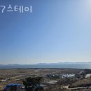 877 스테이 이미지