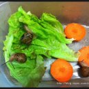 경준농장 이미지