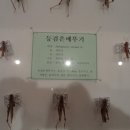 곤충 이미지