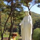 횡성 전통시장 이미지