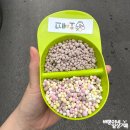 오예끄