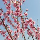 이인수 농장 이미지