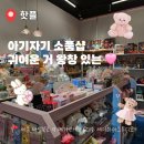 세종 나성동 놀거리 소품샵 세이하이스튜디오