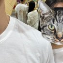 노보클라이밍 이미지