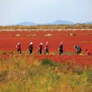 소슬농장 이미지