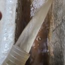 환경시설관리주식회사 - 2185 | 환경시설관리주식회사