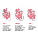 박순석동물메디컬센터 이미지