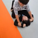 대우체육도장 | 부산 화명동 주짓수, 킥복싱, 유아체육까지 가능한 체육관 찾는다면 서브미션 멀티짐이 답입니다.