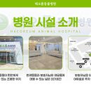 해오름 동물병원 이미지