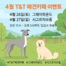 그레이하운드(주) 이미지