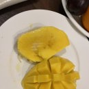 땡큐댕댕 이미지