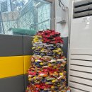 삼오유치원 이미지