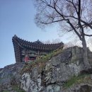 유선사 - 1278 | 유선사
