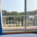 가든인제주 이미지