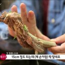 수원왕갈비탕 이미지