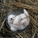 모피나라 - 성남시 분당구 탄천상로151번길 20 | 모피나라