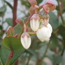 공음보건지소 이미지