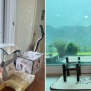 위드제이 이미지