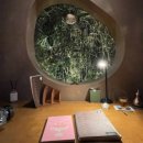 꿈에본꽃돼지 이미지