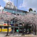 세븐일레븐 밤섬자이 행복점 이미지