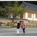 용방초교 Daum카페