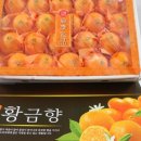 용규농장 이미지