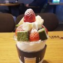 요거프레소오송