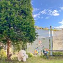 포포애견펜션 이미지