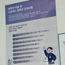 살롱다올,그루밍 이미지