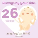 헬스마일 | [임신 26주차] 공포의 임당.. 임신성당뇨 확정! (린여성병원)