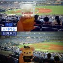 연신내역2번출구뒤 메트로쇼핑 | 오사카 교세라돔 야구장 직관 후기 오릭스 vs 소프트뱅크 경기 ft. 1층 A지정석 시야, 맥주걸