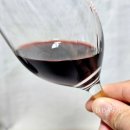 2016 | 가성비 레드 와인 추천 텔루스 메를로 2016 (TELLUS) 따는 법 어울리는 안주 후기