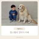 뭉스벨리 | 리트리버와 함께하는 뭉스벨리 애견카페 아이와 방문후기