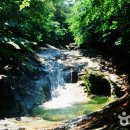 칠연계곡펜션 이미지