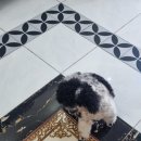 월드미니마트 이미지