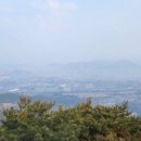 승승칼국수 이미지