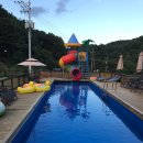 오블리 동물병원 | 가평펜션추천 - 오블리 애견전문 펜션 / 강아지수영장 / 포메라니안/ 말티즈