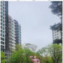 과천정보공인중개사사무소 이미지