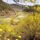 꽃이 피면 이미지