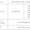 치질 병원(치질증상이 나타나면 수술해야할까?)